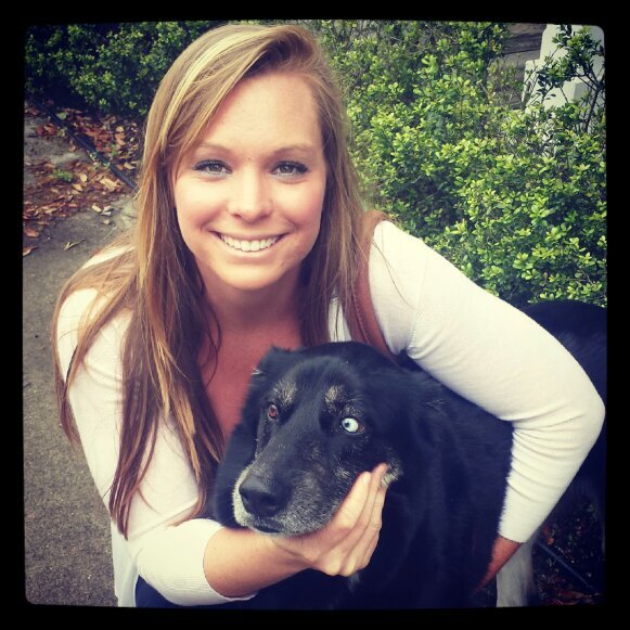 geddesk2's profile picture. 