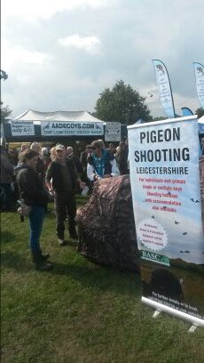 Guided Pigeon shooting in Leicestershire and Lincolnshire, just turn up with Gun and licence and I sort the rest #pigeons #pigeonshooting
