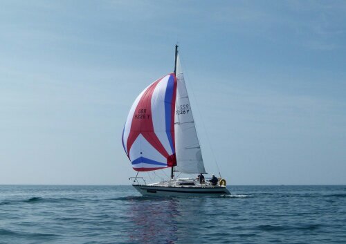 david_crees's profile picture. 