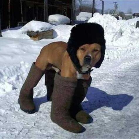 3ibbor's profile picture. 