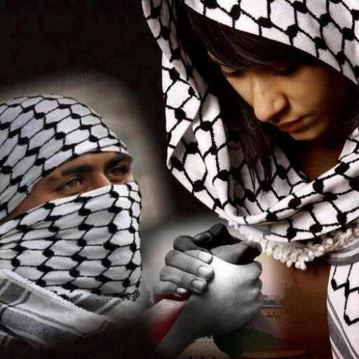 serkanapkac's profile picture. 