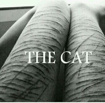 Cat Deb Sue,Bri,Ana,Perry,Bella,Izzy,Sophie et Annie. Bientot morte ♡. Bisexuelle | je suis là pour vous | je ne vous jugerais jamais ♡C P A J  J V G