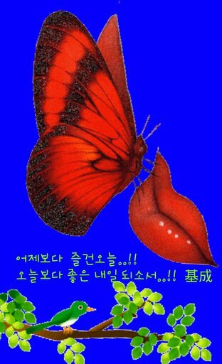 광우병세력박멸. 건전한대한민국. 원칙이통하는사회. 반대를위한반대추방. 선동정치인싫어함. 유신세대.