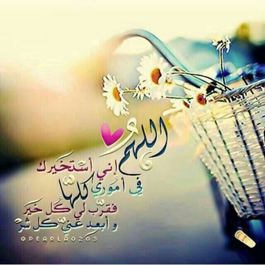 ‏تعيش ﺎلنفوس ﺎللي على ﺎلعز سبّاقہ
  وتموت ﺎلنفوس ﺎللي تدور مصالحہا ~