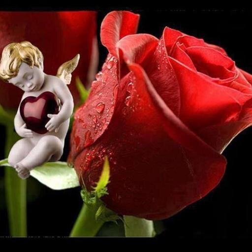 lampo61's profile picture. 