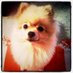 杉山敦 (@tuktukcafe) Twitter profile photo 杉山敦 (@tuktukcafe) Twitter profile photo
