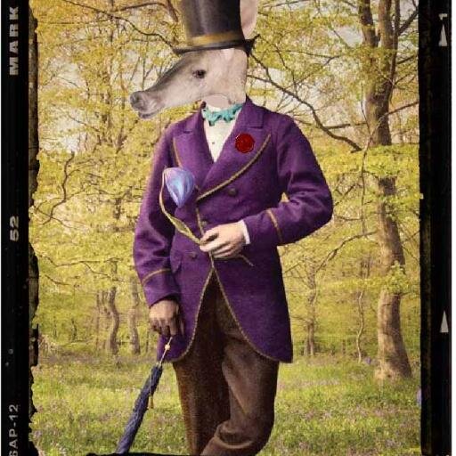 TheBossVinous's profile picture. The boss of vinous. Cutting through the miasma of wank to be the corona of cool between the burning heart of the self-obsessed and the umbra of the irrelevant.