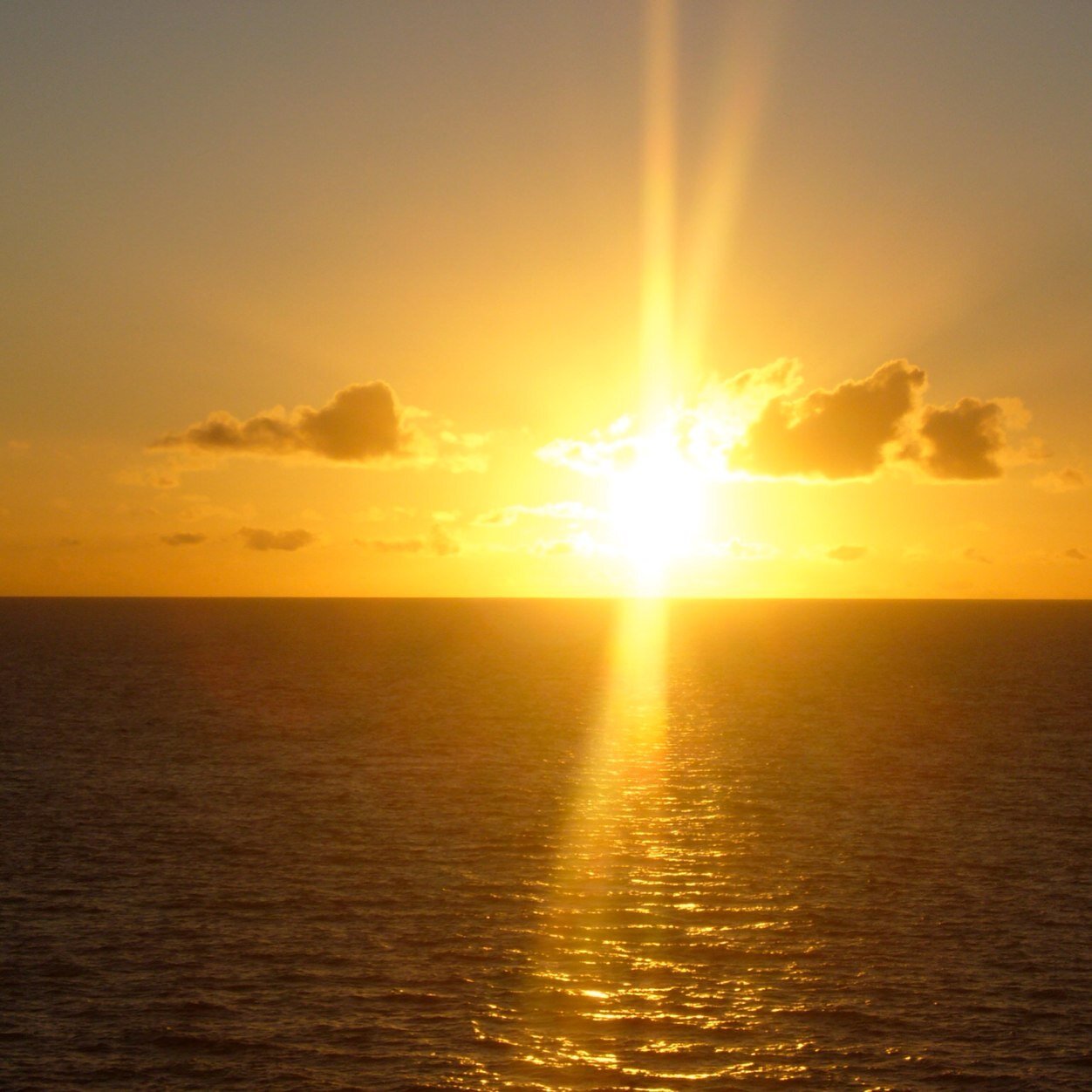 alrakaje's profile picture. 