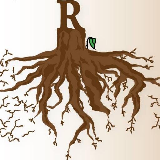 rootsmedia1's profile picture. branding company