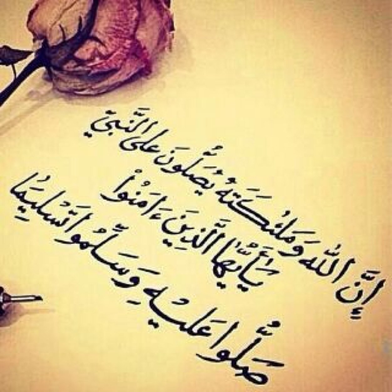‏حساب مختص بعمل ريتويت للتغريدات الإسلاميه فقط ضع قبل التغريدة retwit_4kr@ أعتذر عن عمل ريتويت لأي حساب يحمل صور عري
