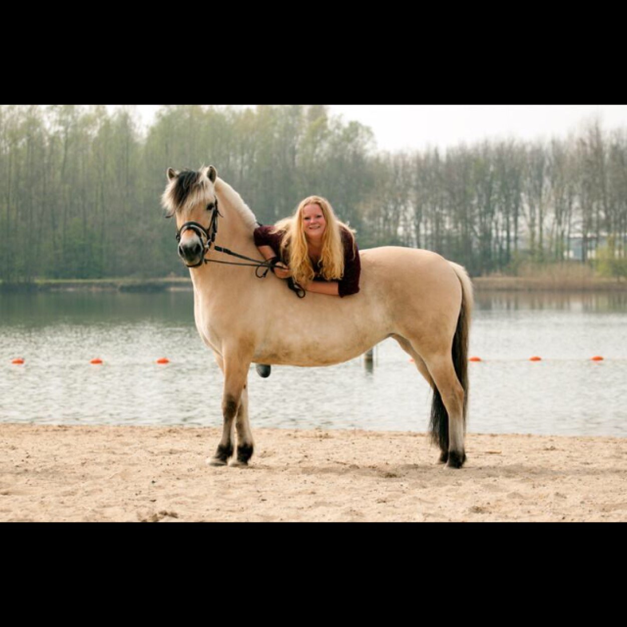 Heeii dit is het account over alles van fjorden!! leuk account om alles te leren over fjorden♥Paard van de maand is ivorna