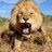Bobbie_B_ retweeted this