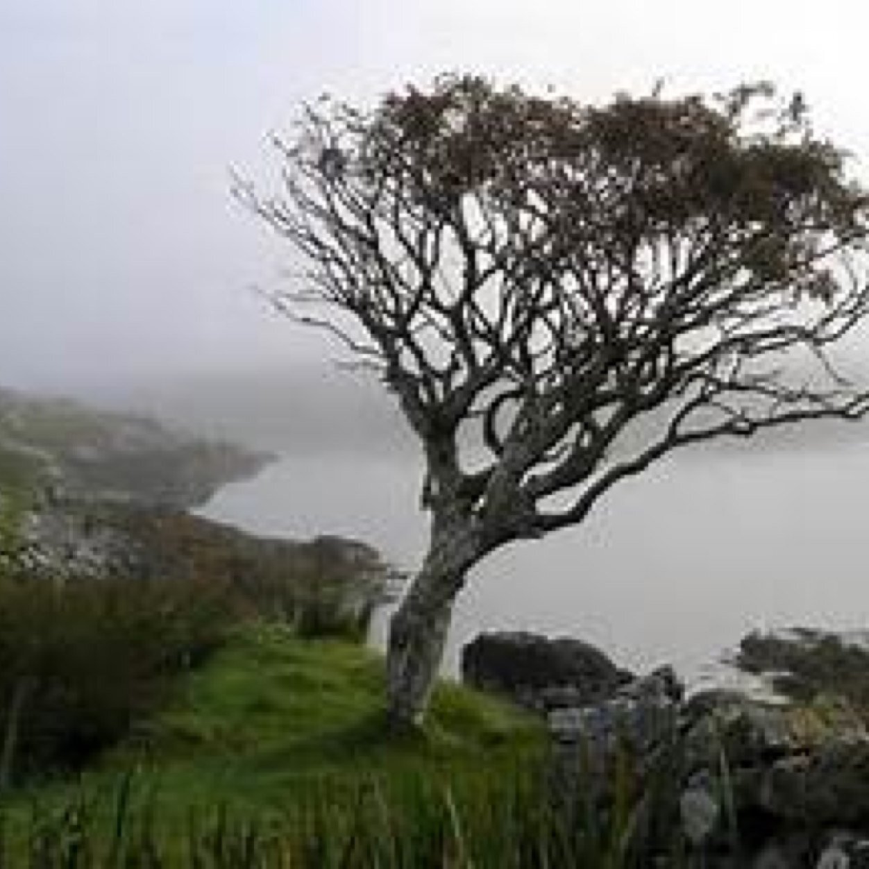 OfRowentree's profile picture. Hand crafted herbal beauty products. Help support small business #capitalism #followback