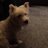 helenrogers45's profile image