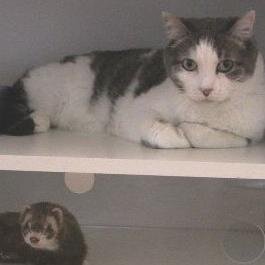 pasbru66's profile picture. 