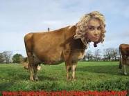 FcAnti_RBR's profile picture. RebeldeS entendam que vocês nunca serão melhores do que o RBD..