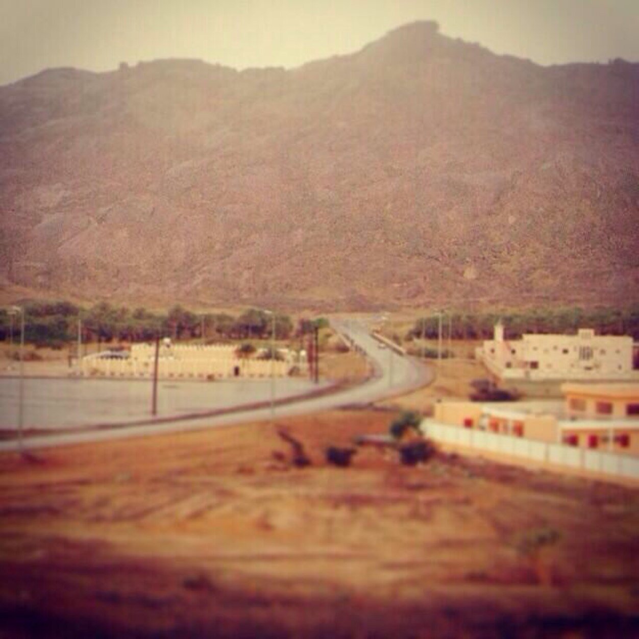 menahyt's profile picture. 