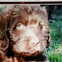 Mary Viney - @mviney50 - Twitter