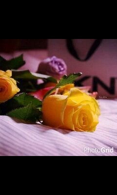 جميعكم دون أستثناء رزقتم جنہ عرضها السماء ‏أتابع من يتابعنے    ♥♥KSA