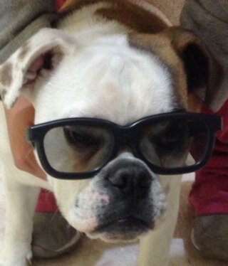 ramoniq6's profile picture. 