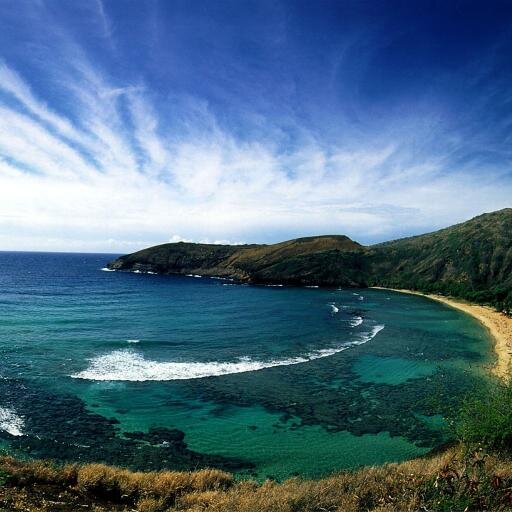 Hawaiiの名所、大好きな場所、お気に入りのお店をつぶやいていきます。これからHawaiiに行く人、行きたい人は参考にしてください。
色んな情報もつぶやいていきますので相互フォローよろしくお願いします。