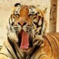 Geos46 (@giu2061) 's Twitter Profile