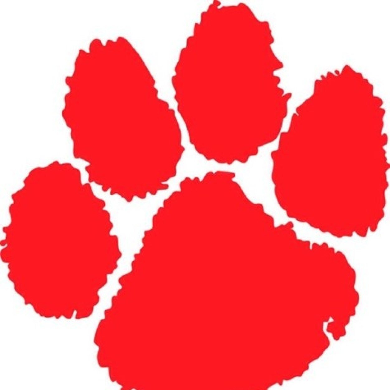 @BeechwoodTigers