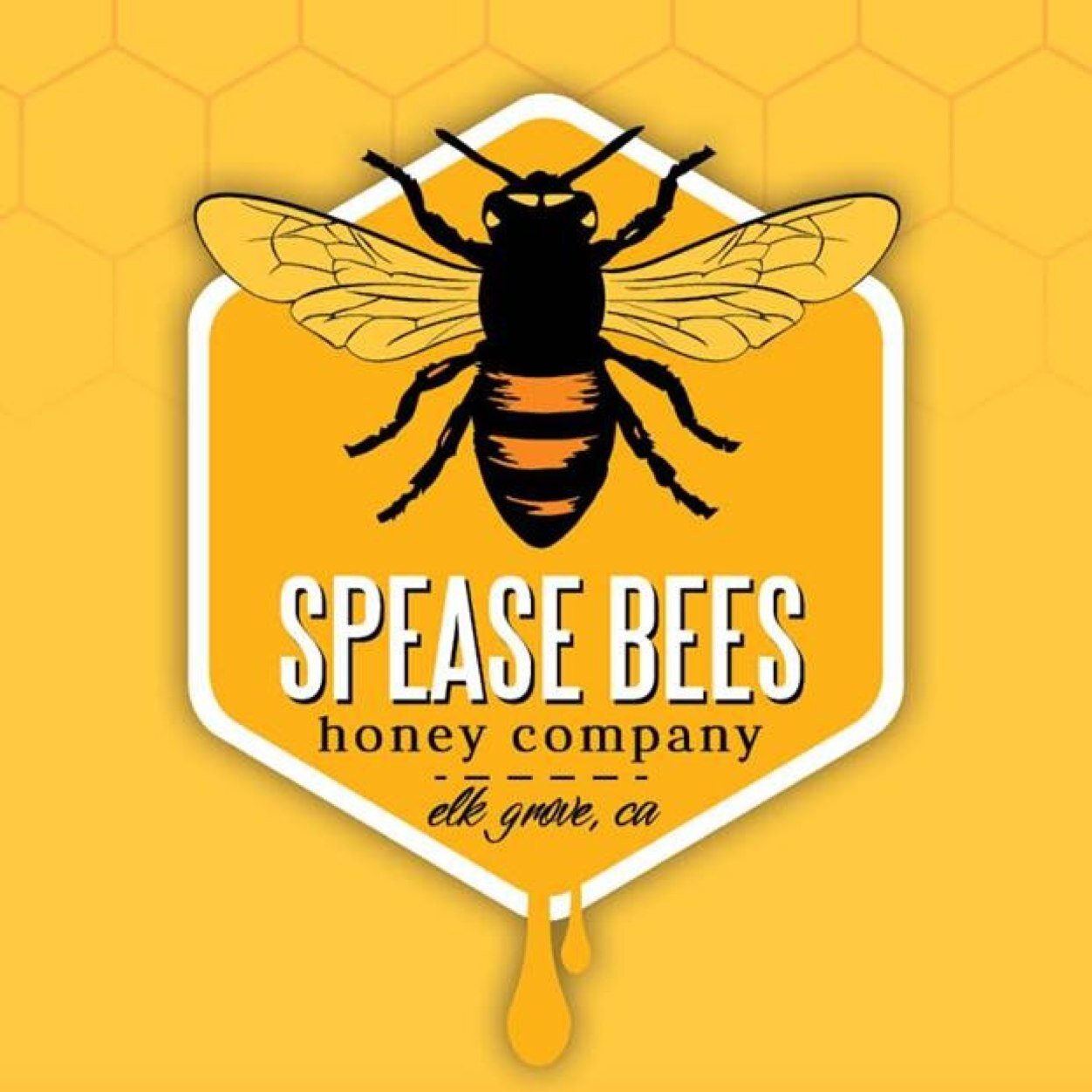 SpeaseBees's profile picture. Local Raw Honey