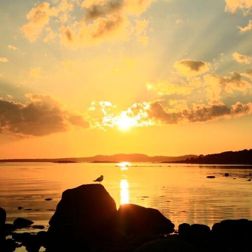 veter_spaseniy's profile picture. Вечность – это стремление духа Свободы _Григорий Грабовой