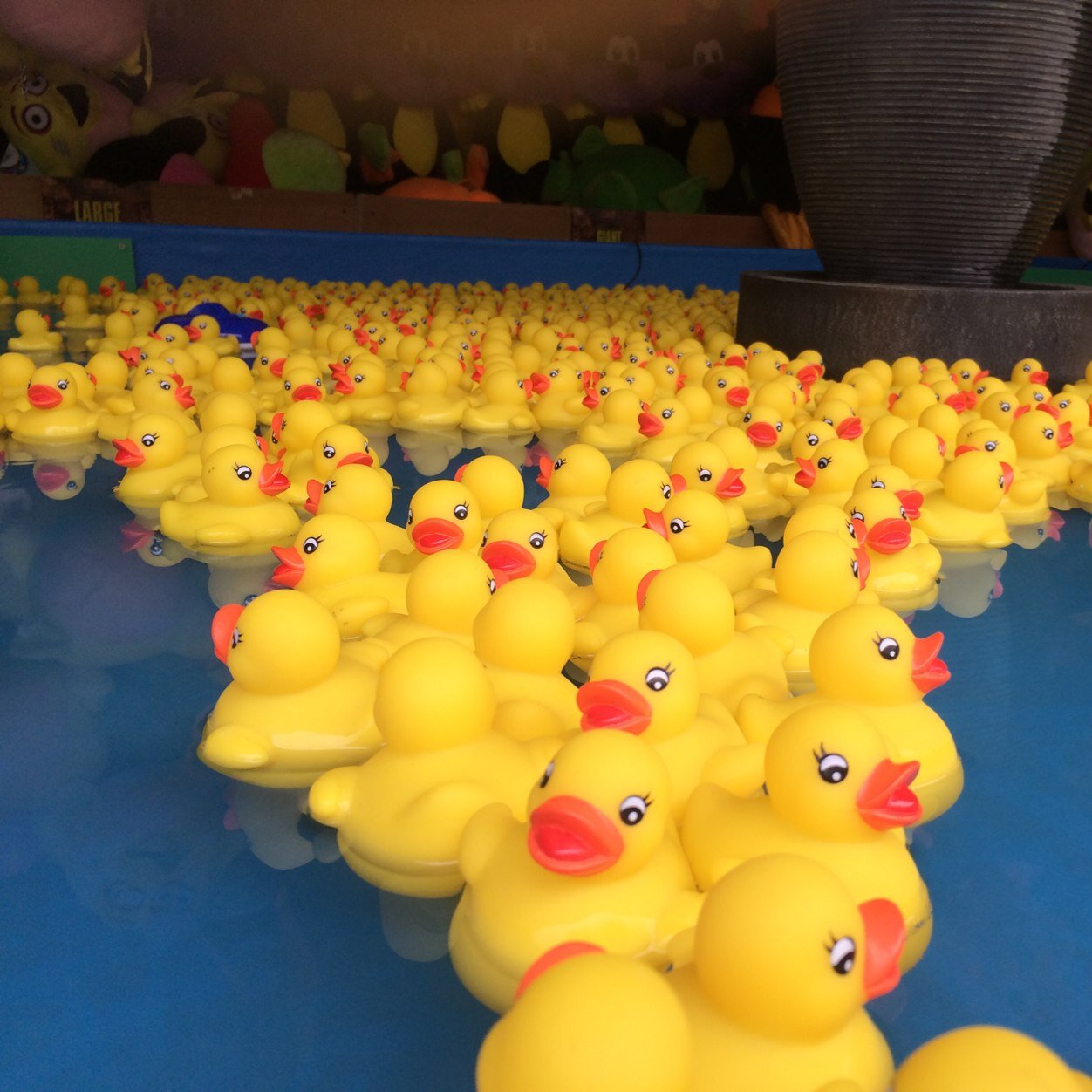 KKathlass's profile picture. 