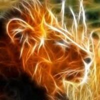SimbaTrading (@simbatrading) 's Twitter Profile Photo