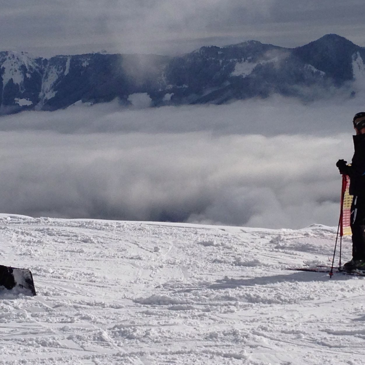 mervbell's profile picture. 