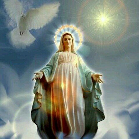 Rt_llagr's profile picture. ‏‏‏‏سنذهبْ ذاتَ يوم لِرحلة بعِيدة المَدى بِلا موعِد بِلا صُحبه وبِلا رِفاقْ لِحُفرةٍ ضيّقة نَستقِر بِها، ماذا اعددنا لها ؟!

*اللّهم احسن خاتمتنا*