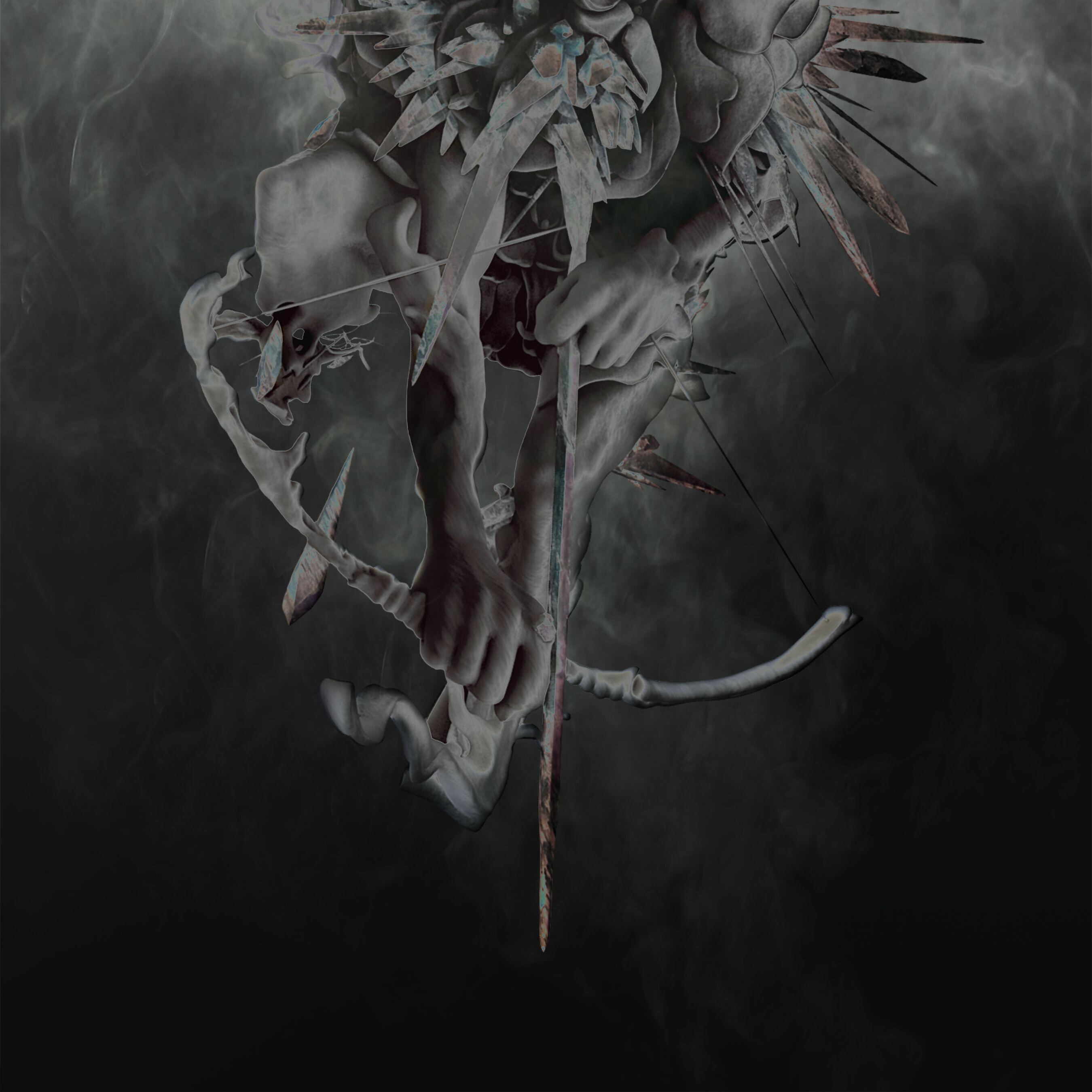 SzymonKocioek's profile picture. 