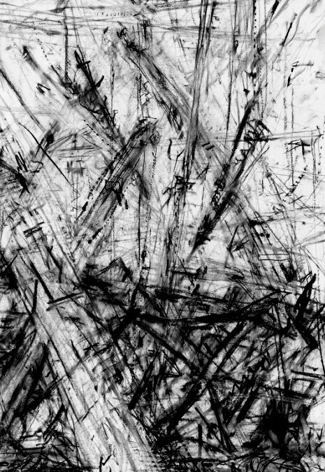 We Explore Drawingさんのプロフィール画像
