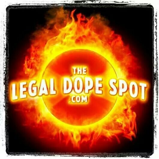 Web Promoter/ Web site designer/ Posts for Soulja Boy,Jay-Z, Lil Wayne, Sicarii, Bishop, Deuce Bug, and all other major hip hop artists  #teamfollowback