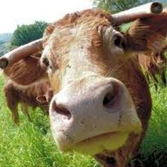 Regarde.
Bouzin créole.
J'aime à regarder ce corps parfait que nous a offert dieu (qui n'existe pas) c'est à dire celui de Christine Boutin. Merci.