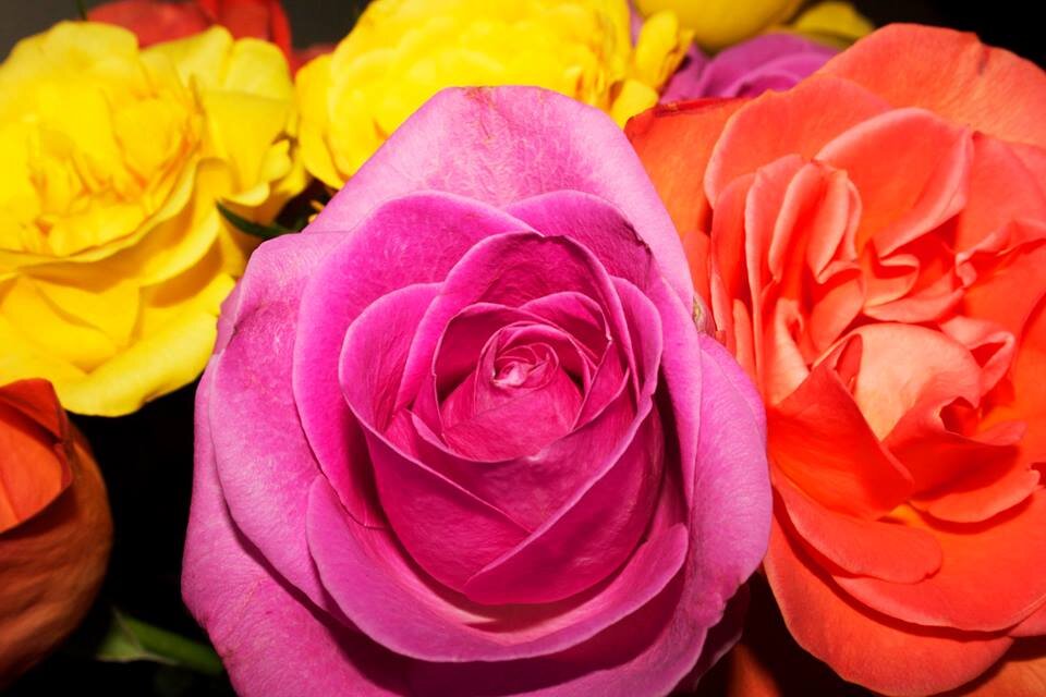 HGeeFashion's profile picture. Affiliate twitter page of @HaylieGee - just another Twitter page to promote the tons of fashion steals I am offering on Ebay - 99% of items bidding from 99p!