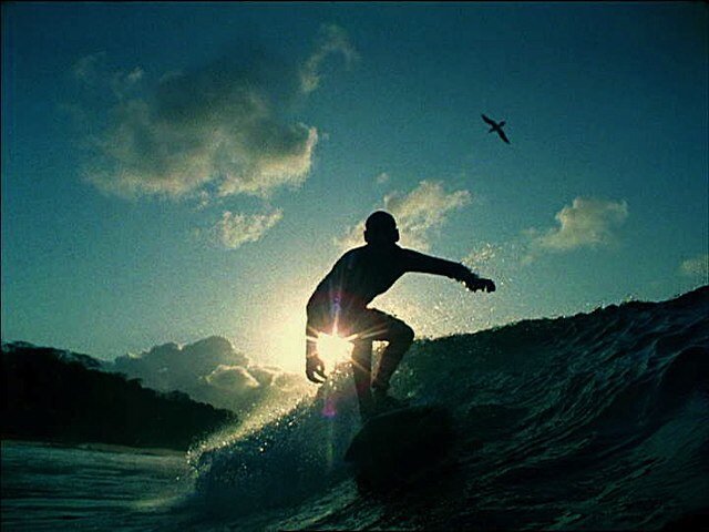 _naturejunkie_'s profile picture. Nature Junkie