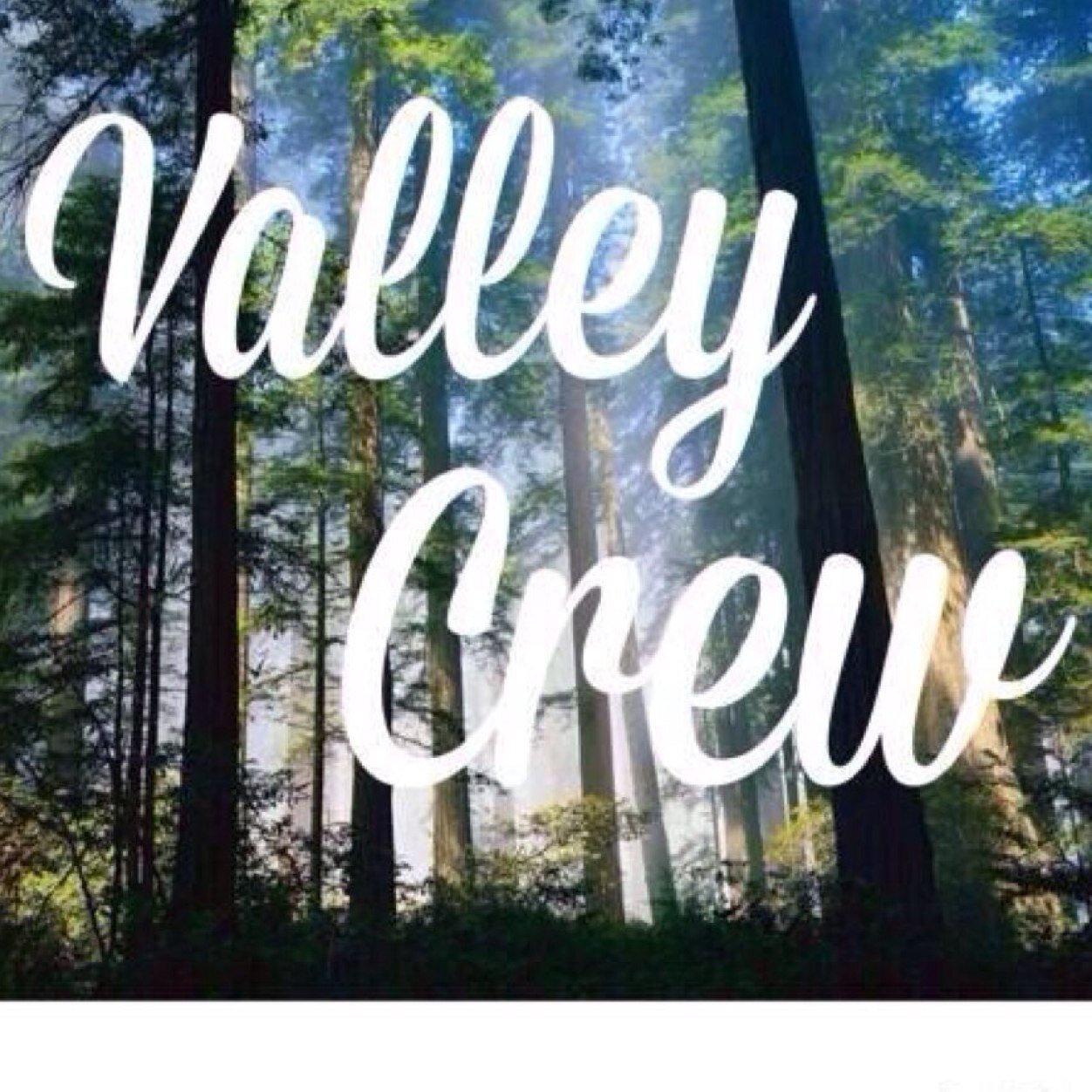 Vall3yStories2's profile picture. 