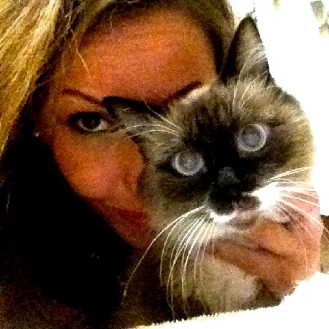 maramanemara's profile picture. 