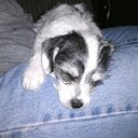 john beam - @Johnbeam2014 - Twitter