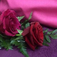 موج البحر (@nnhn1223) Twitter profile photo