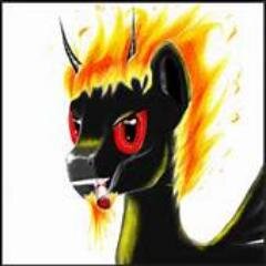 Taken by @Emilytheredeyes and @queendragon21 name is marcus wilson i love MLP i love enemy of my enemy is my friend MW2 soundtrack