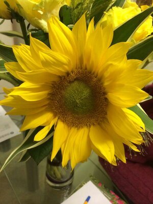 brazcoin's profile picture. 