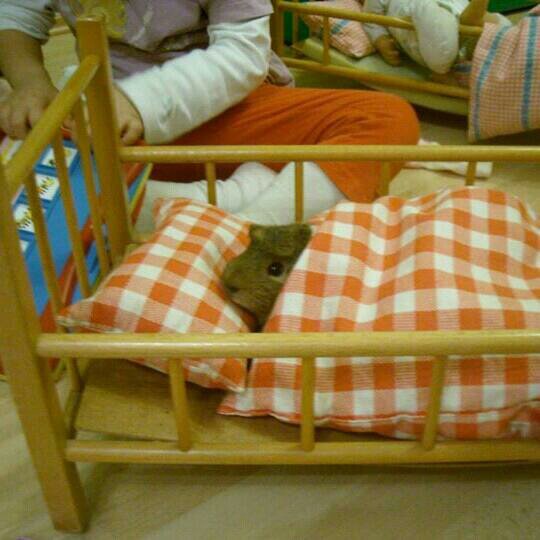 SeizVictoria's profile picture. 