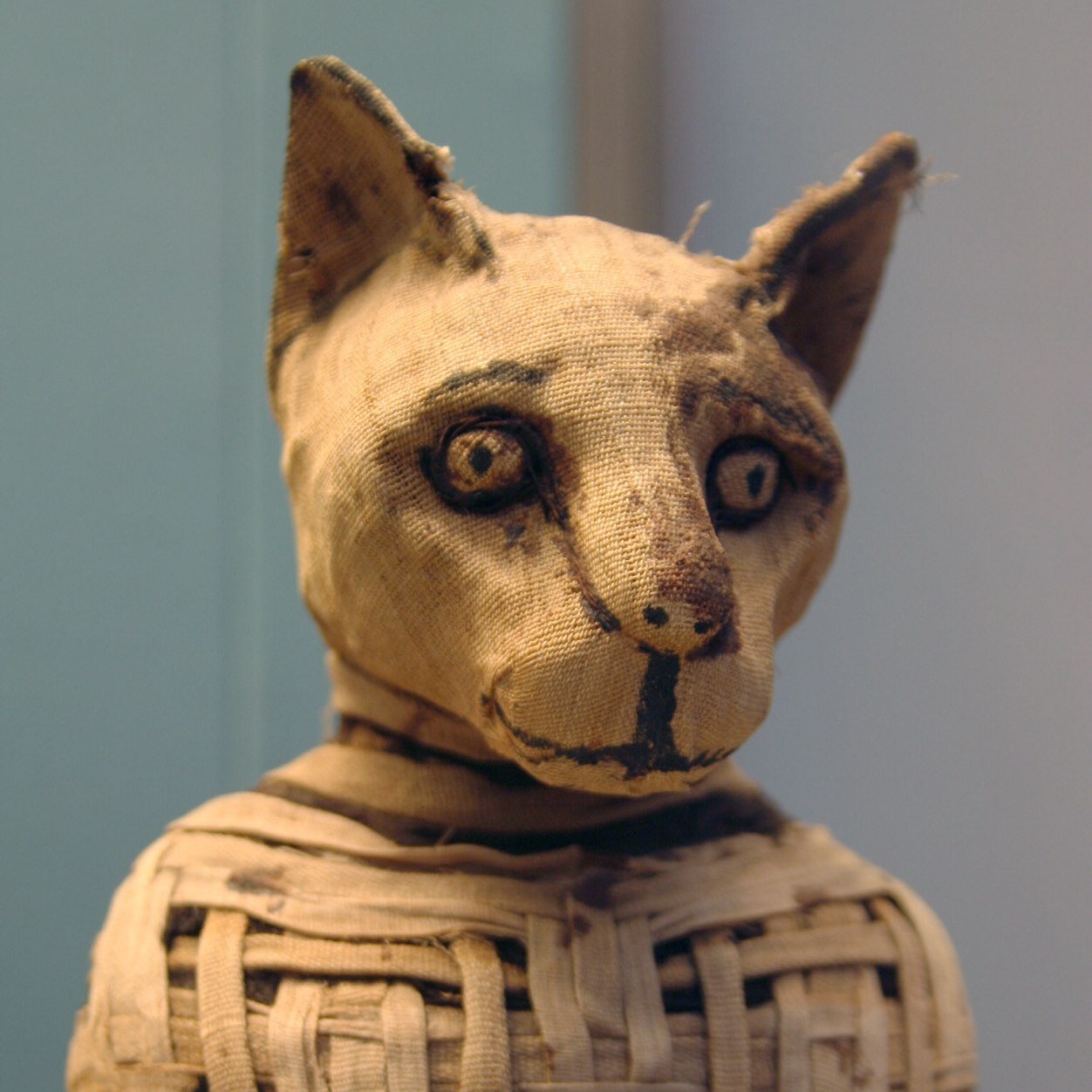 Celebrating all things cats and collections. Home of #MewseumMonday and #MuseumCats.