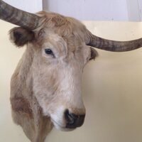 Brian Witherell (@witherelantique) 's Twitter Profile