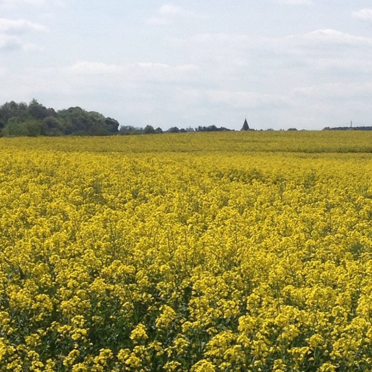 jameshills_'s profile picture. architect