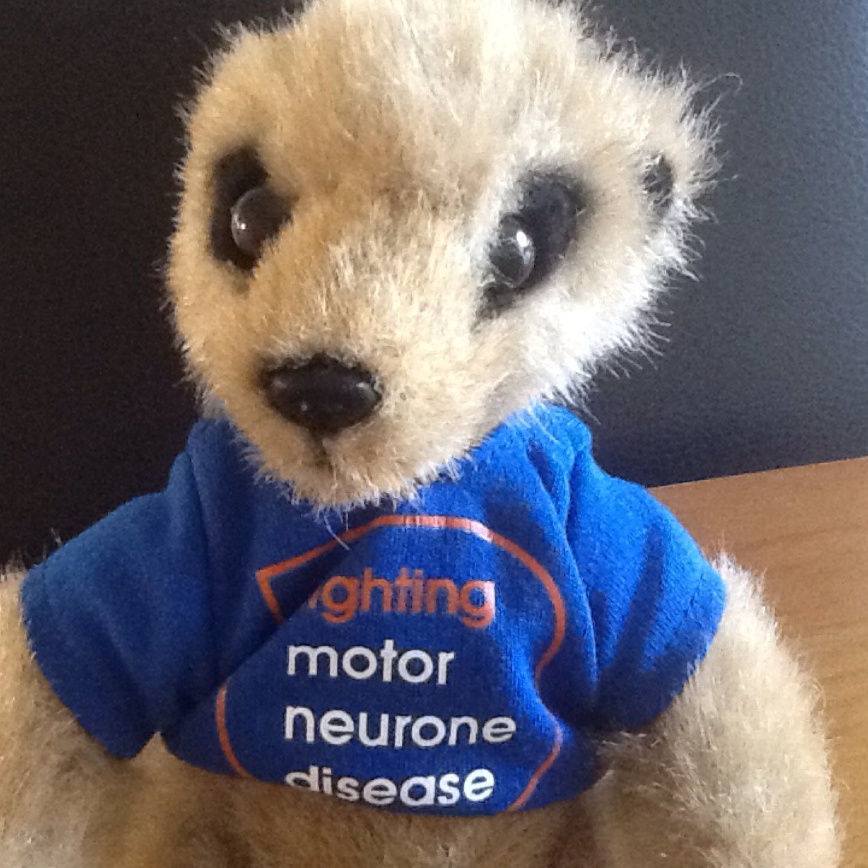 MND Merseyside Committee Member .